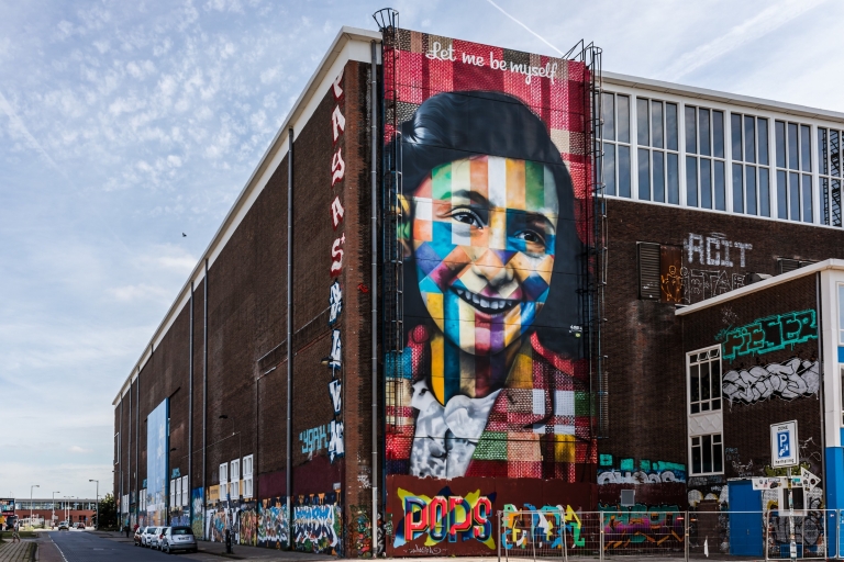 Amsterdam-Noord: 3-stündige private Tour zu Fuß