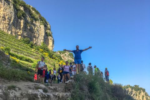 Amalfi: Walking tour between Furore vertical Vineyards