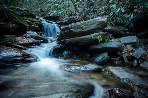 asheville morning waterfall hike with breakfast