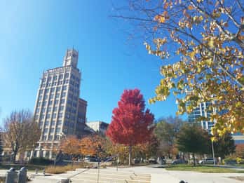 Asheville: Geschichte und Architektur Tour Asheville: Geschichte und Architektur Tour