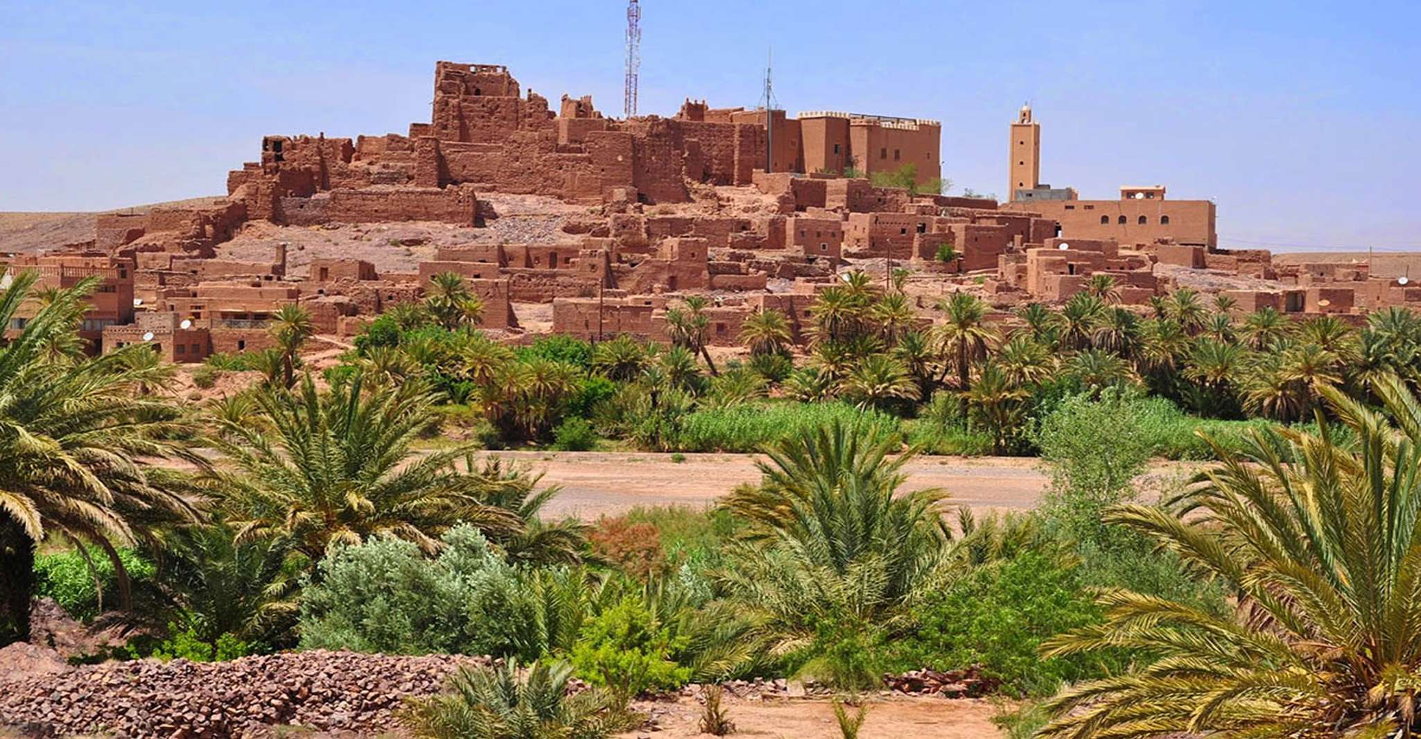 De Agadir, viaje de un día a Taroudant y Tiout Oasis - Hizvo