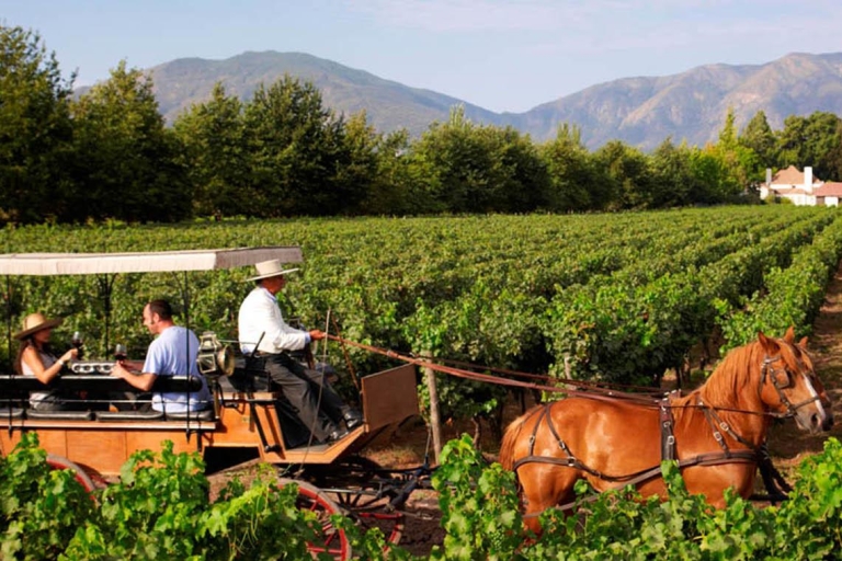 Valle del Maipo: tour privado de vino de día completo