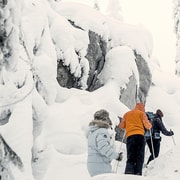 Vuokatti: Snowshoeing Adventure in the Forest
