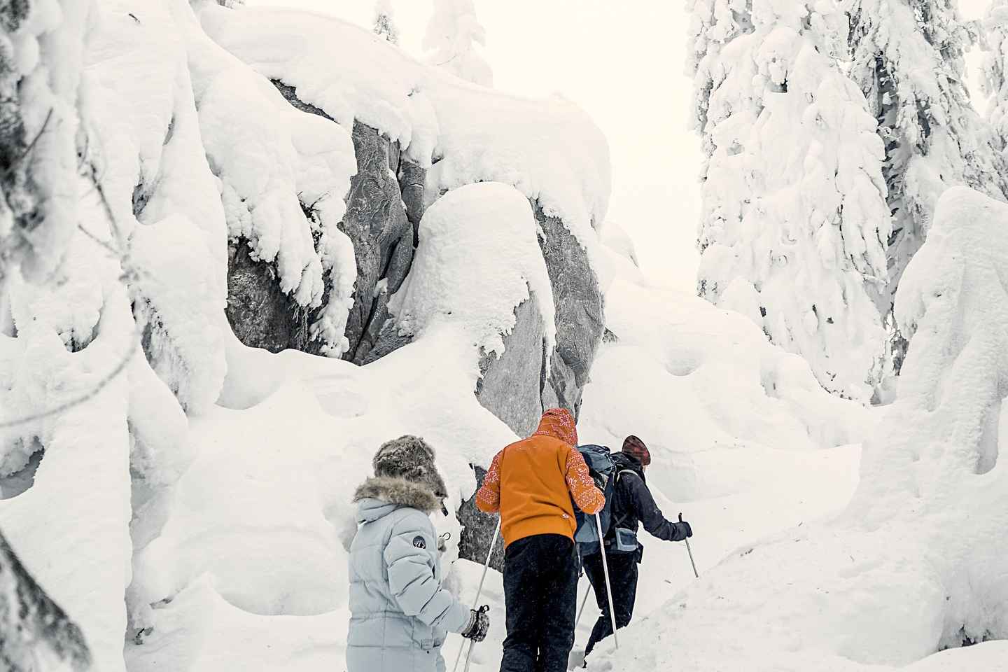 Vuokatti: Snowshoeing Adventure in the Forest