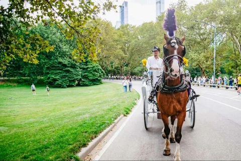NYC: Privat tur i hestevogn med julelys