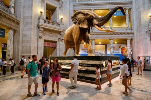 Washington DC: Tour para familias del Museo de Historia Natural