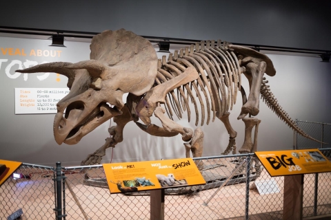 Waszyngton: Wycieczka po Muzeum Historii Naturalnej dla rodzin