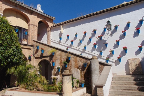 Córdoba: tour de 2 horas por el barrio judío y la mezquitaTour de martes a sábado en español