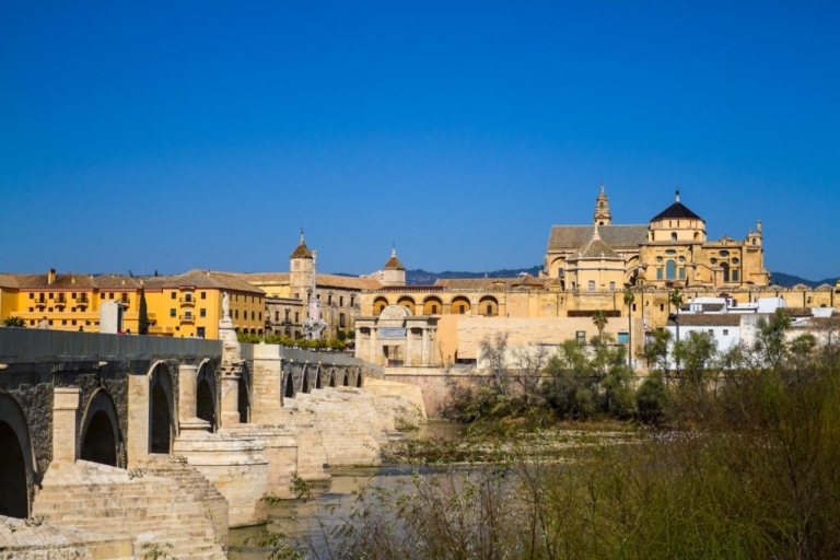 Córdoba: tour de 2 horas por el barrio judío y la mezquitaTour dominical en español