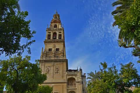 tour por la mezquitacatedral de córdoba y judería