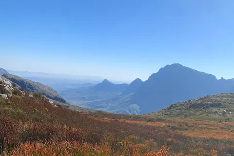 Jonkershoek Nature Reserve: Guided Panorama Trail Hike