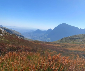 Jonkershoek Nature Reserve: Guided Panorama Trail Hike