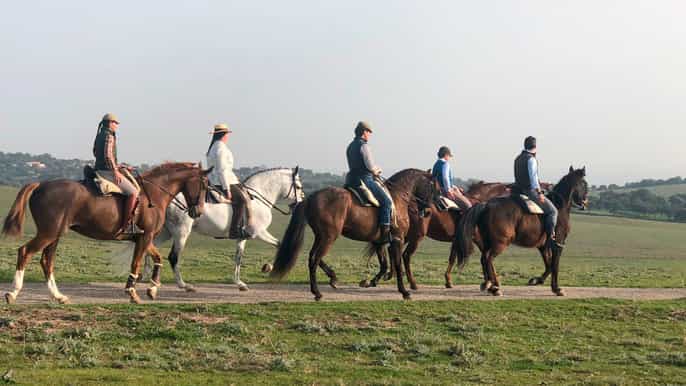 córdoba forest horse ride