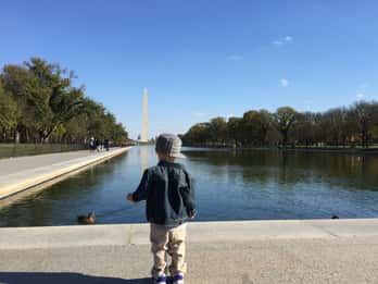 Washington DC: Familienfreundlicher Rundgang durch die National Mall Washington DC: Familienfreundlicher Rundgang durch die National Mall
