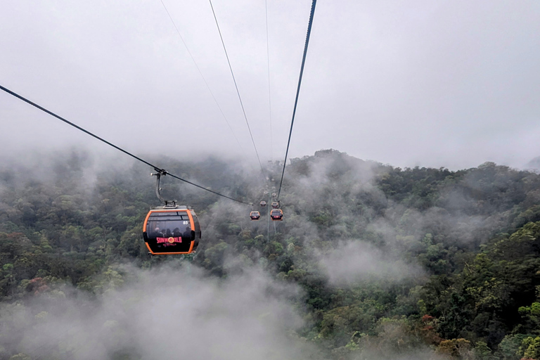 Ba Na Hills: Golden Hand Bridge Early Morning Tour- Private