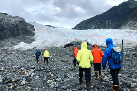 Juneau: visite aventure du glacier MendenhallJuneau : Circuit d'aventure au glacier Mendenhall
