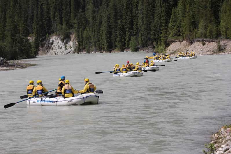Kicking Horse River: introduzione di mezza giornata al rafting in acque bianche