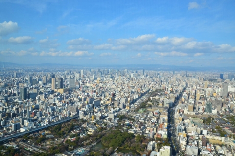 Osaka: Sightseeingtour van een hele dag met een privévoertuigOphalen vanuit het centrum van Osaka