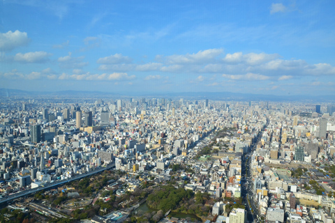 Osaka: Heldags sightseeingtur med privat fordonHämtning från centrala Osaka