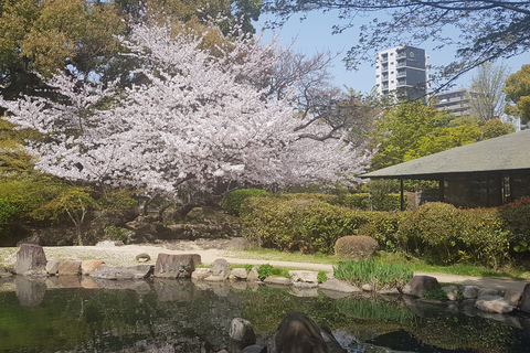 Osaka: całodniowa wycieczka krajoznawcza prywatnym pojazdemOdbiór z centrum Osaki