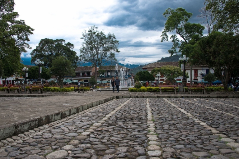 Depuis Medellín : Excursion d'une journée dans la ville de Jardín et dans une ferme de café