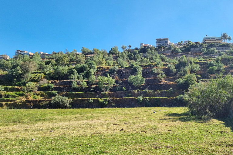 Yoga & Nature Experience – discover the green Arequipa Yoga & Nature Experience - discover the green Arequipa