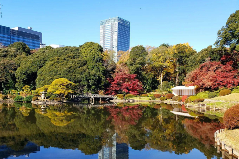 Tokyo Full and Half Day Sightseeing Tour with Mount Fuji Tokyo: 4 Hours Private City Sightseeing Tour with Tour Guide