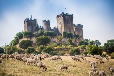 Kordoba: bilet wstępu do zamku Almódovar