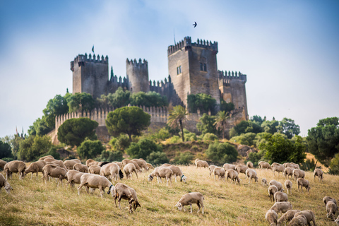 Córdoba: Ingresso para o Castelo de Almódovar