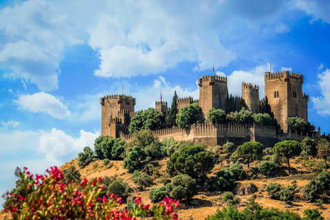 Córdoba: toegangsticket kasteel Almódovar