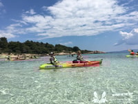 Half Day Sea Kayak Trip - Housity