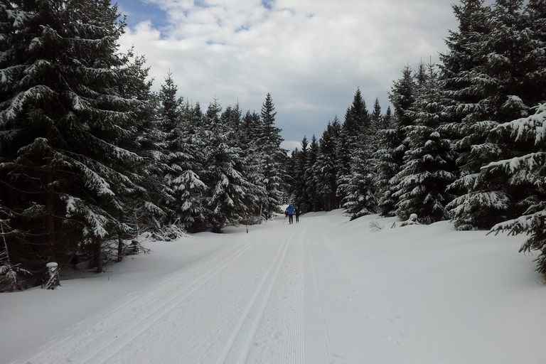 From Leipzig: Return Transfer to Fichtelberg Ski Run ERZSki2023