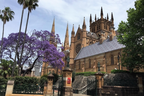 Sydney: visite d'une demi-journée en petit groupe de l'histoire de la ville