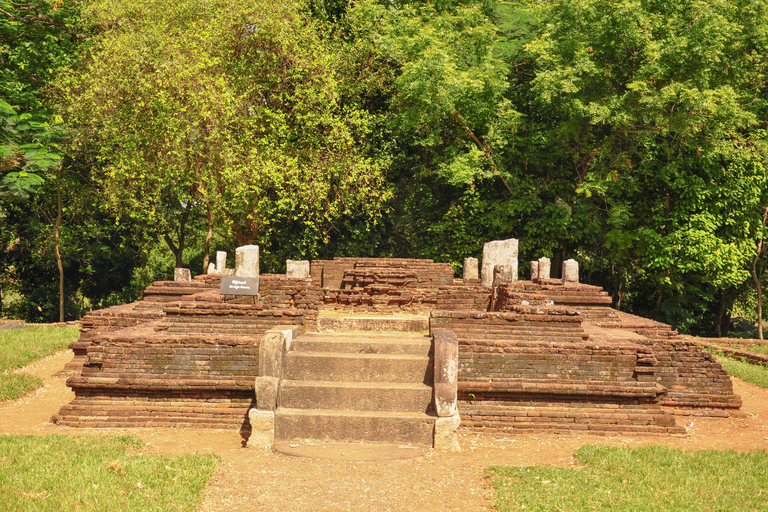 Da Negombo: tour di Dambadeniya, Yapahuwa e PanduwasnuwaraDa Negombo: Dambadeniya, Yapahuwa e Panduwasnuwara