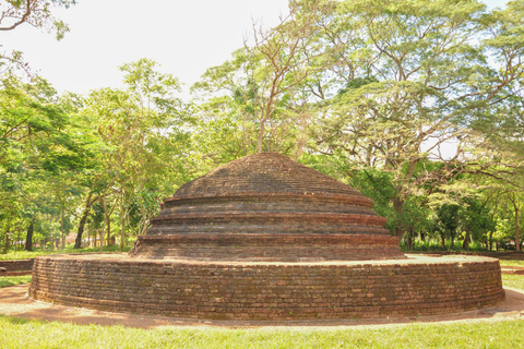 Da Negombo: tour di Dambadeniya, Yapahuwa e PanduwasnuwaraDa Negombo: Dambadeniya, Yapahuwa e Panduwasnuwara