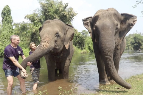 Från Bangkok: ElephantsWorld Kanchanaburi 2-dagars upplevelse