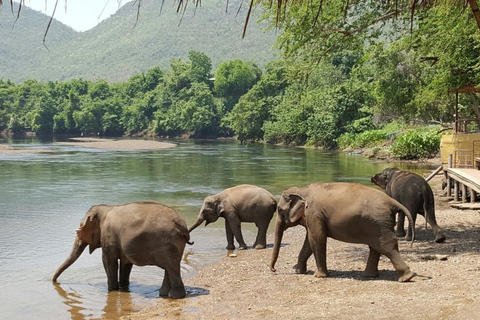 Från Bangkok: ElephantsWorld Kanchanaburi 2-dagars upplevelse