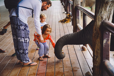 Aus Bangkok: ElephantsWorld Kanchanaburi 2-tägige Erfahrung