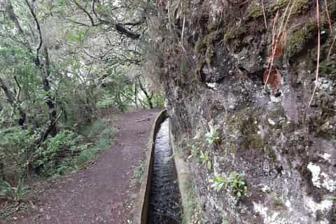 madeira private ribeiro frio to chão das feiteiras walk