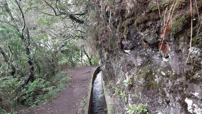 madera ribeiro frio privato a chão das feiteiras walk