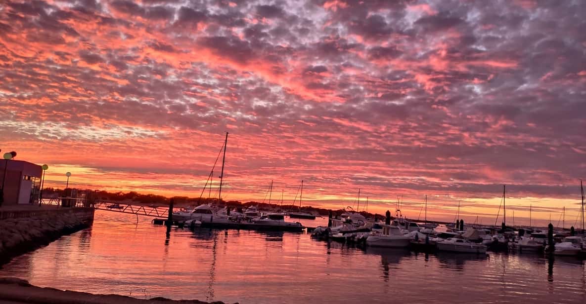 Bahía de Cádiz: crucero en catamarán al atardecer de 1 hora