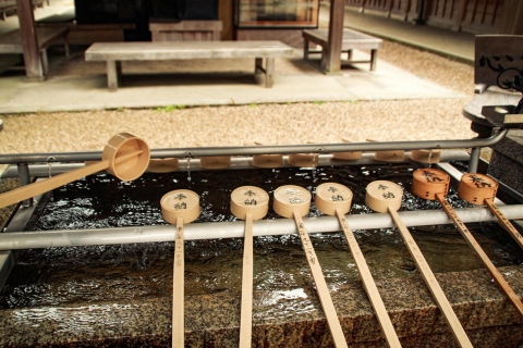 De Kyoto ou d'Osaka: visite privée à pied de NaraY compris le billet de train retour de Kyoto