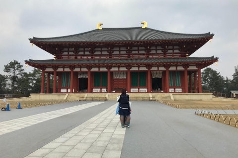 Von Kyoto oder Osaka: Privater Rundgang durch NaraInklusive Rückfahrkarte von Kyoto
