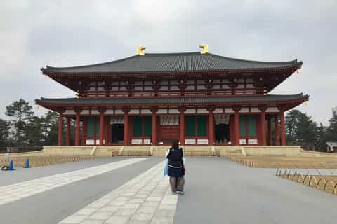 From Kyoto or Osaka: Private Walking Tour through Nara