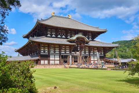 De Kyoto ou d'Osaka: visite privée à pied de NaraY compris le billet de train retour de Kyoto