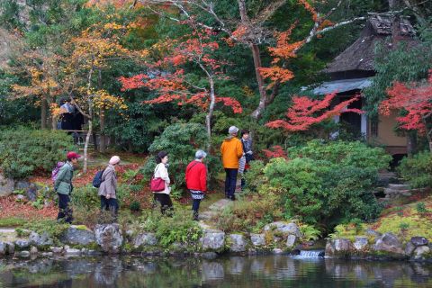 Vanuit Kyoto of Osaka: privéwandeltocht door Nara