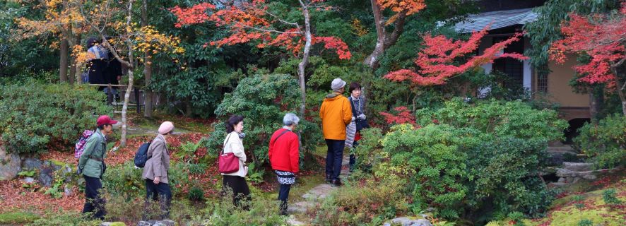 From Kyoto or Osaka: Private Walking Tour through Nara