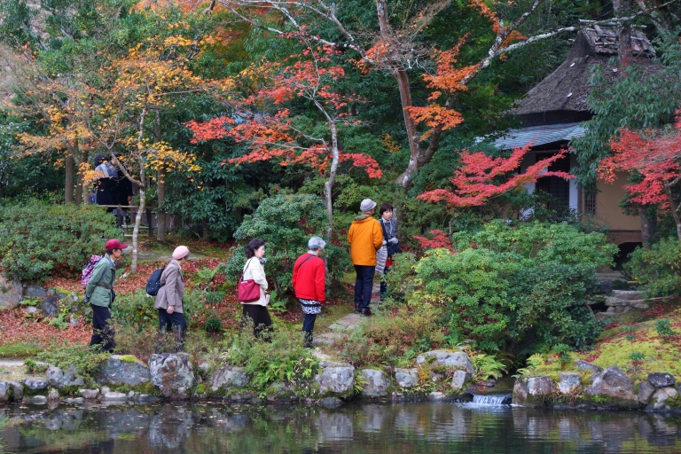 Von Kyoto oder Osaka: Privater Rundgang durch NaraInklusive Rückfahrkarte von Kyoto