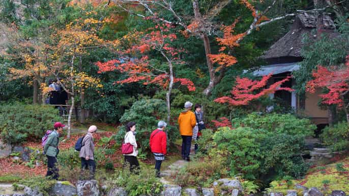 von kyoto oder osaka privater rundgang durch nara