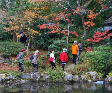 京都から奈良へ：地元ガイドと行くプライベート日帰り旅行